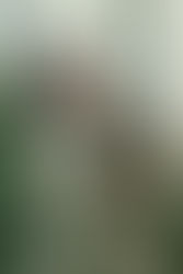 atlanta ceo of papillon visuals headshot rachel white