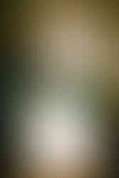 candid of guests primrose cottage reception photography