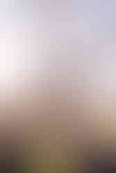 ceremony photography vinewood stables newnan ga