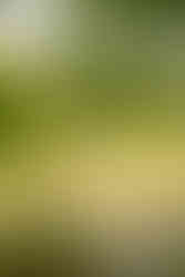 cloverleaf farms venue decor photography