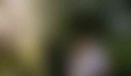 uga north campus couple's photos