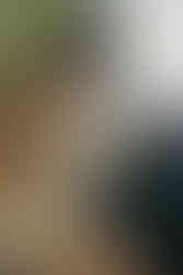 Atlanta boudoir Midtown Atlanta sunlight film Polaroids plants graceful grace confidence