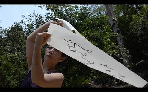 performance borboletas 2020-12-08 às 17.46.16.png