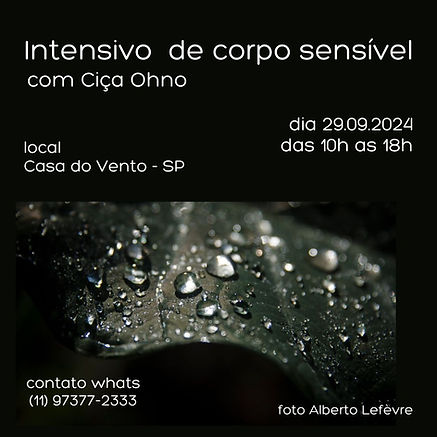 Intensivo de corpo sensível.jpg
