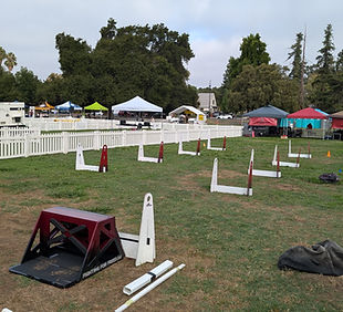PXL_20240921_162416685.jpg