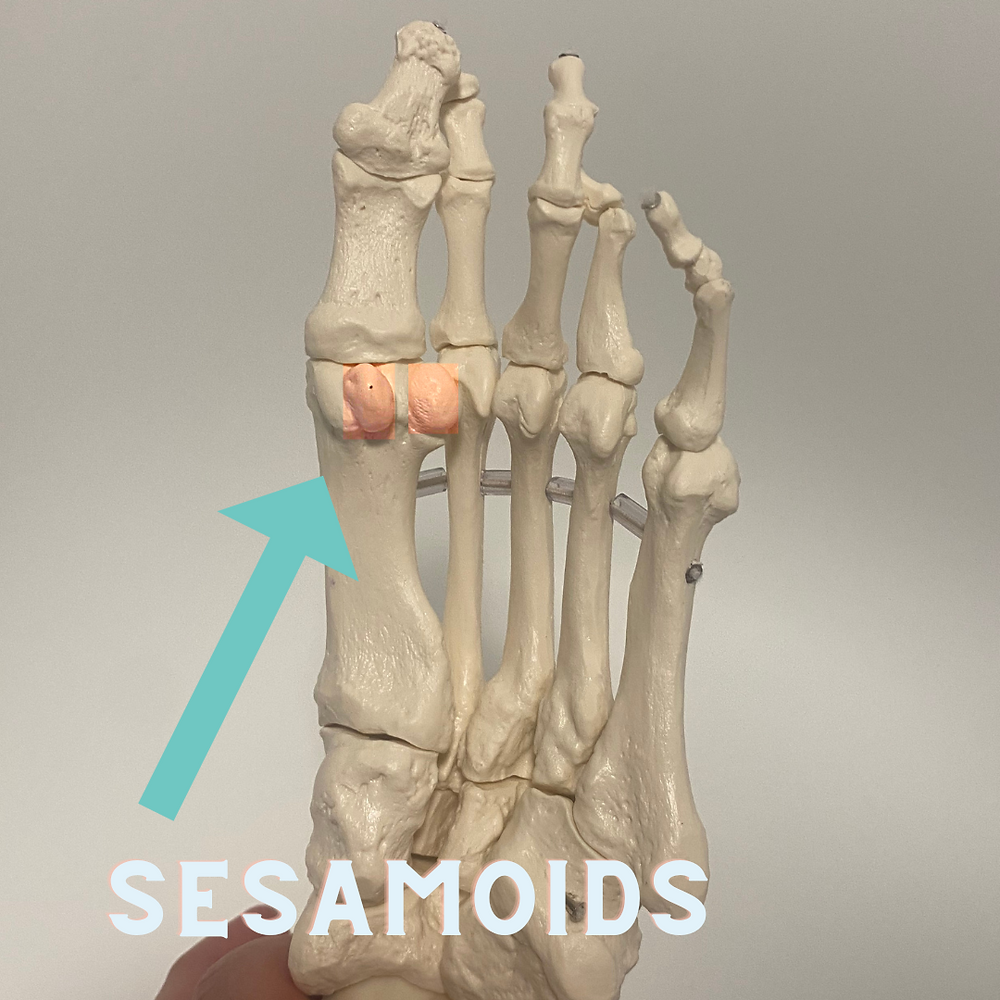 Sesamoid pain? Why does my big toe joint hurt?