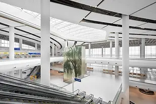 MSY_Interior_2.webp