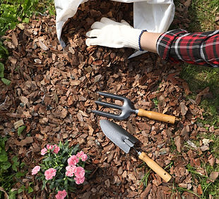woman-mulching-beautiful-flowers-with-bark-chips-garden-view.jpg