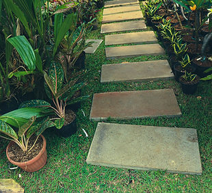 pathway-walkway-very-lush-garden-with-various-plants.jpg