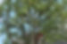 169670092_m.jpg