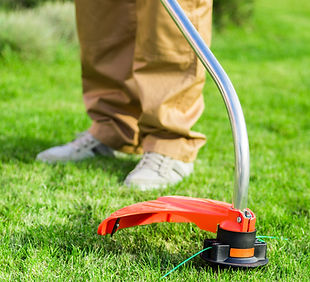gardening-grass-cutting-weed-whacker-gardener-weed-trimmer-string.jpg
