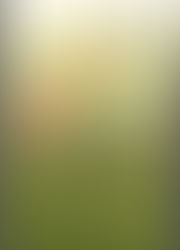 Analiza Tranzactionala (Alain Cardon, Vincent Lenhardt, Pierre Nicolas) COD 0158