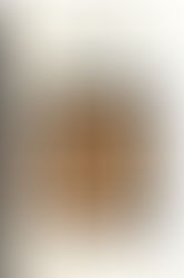 O istorie a Lumii Antice (Horia C. Matei)  - COD 0359