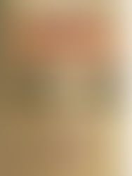 Terorismul Intelectual (Jean Sevillia) COD 0170