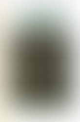 Cum sa ne purtam cu personalitatile dificile (Francois Lelord/Cristophe Andre) / COD 0113