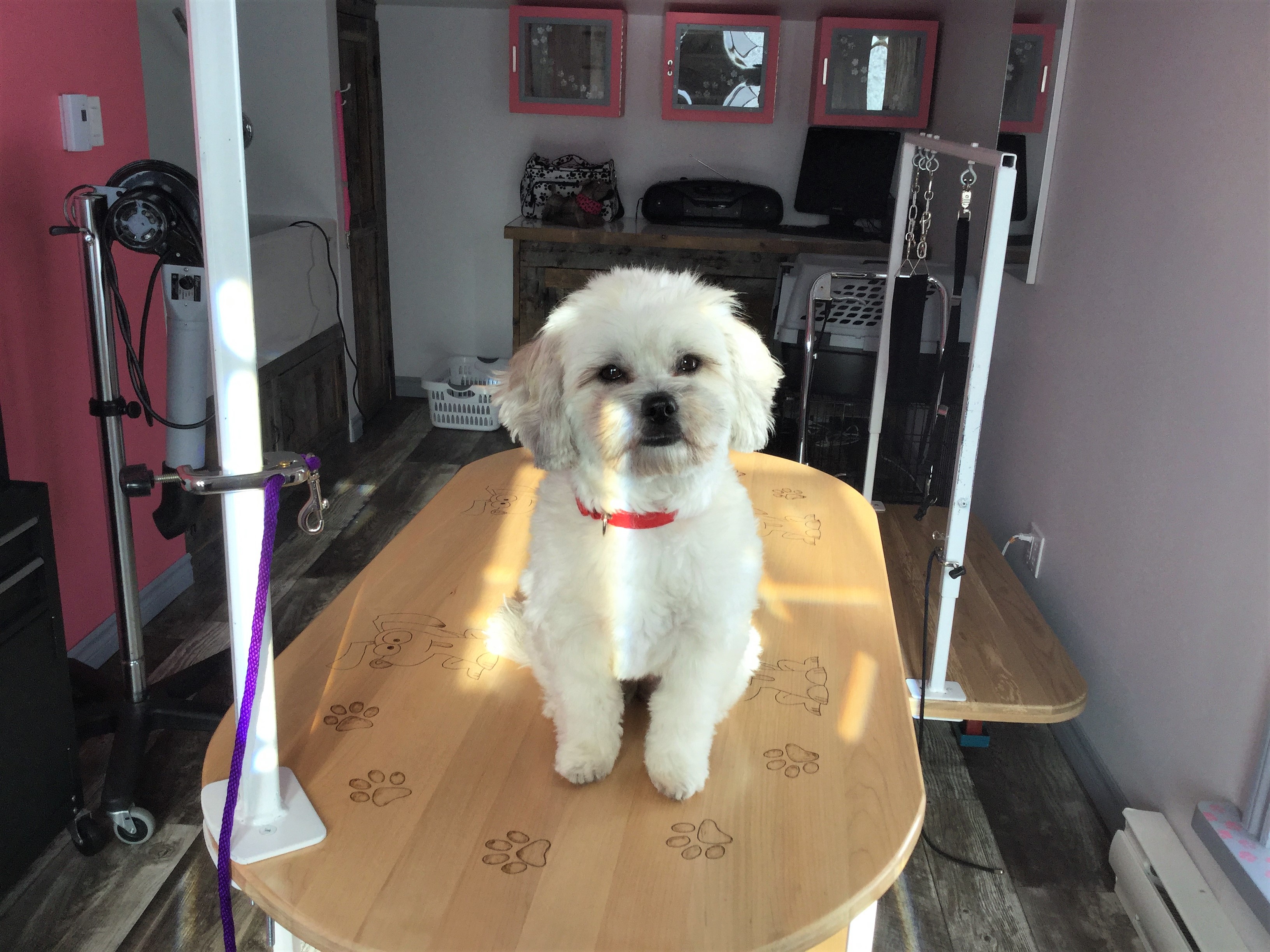 Acceuil Toilettage4x4