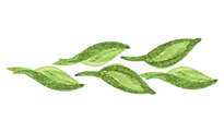 Green Leaves Watercolor Pattern