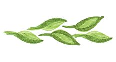 Green Leaves Watercolor Pattern