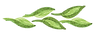 Les bienfaits de la nature