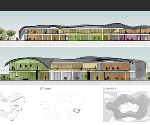 Corte longitudinal y tranversal