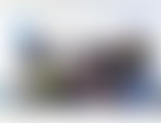 Descubriendo Nuestra Imagen "Taller de Habilidades Sociales para Jóvenes".