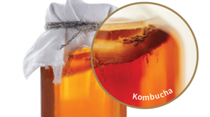 Kombucha | Perfect Building Blocks for Your Gut Health