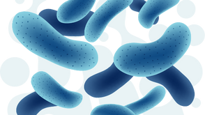 Bereum Postbiotics | The Next Frontier in Gut Health & Wellness!