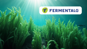 ΩRIGINS | Not Your Ordinary Algae DHA