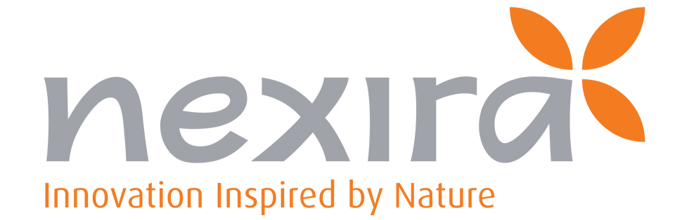 bereum logo