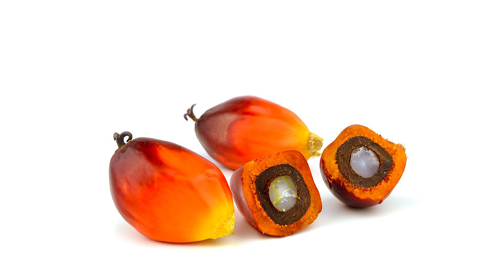 Aqurate Gold Tri.E Palm Tocotrienols