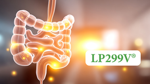 LP299V probiotic improves gut health, iron absorption and cardiometabolic function