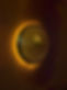 IMG_1208.jpeg
