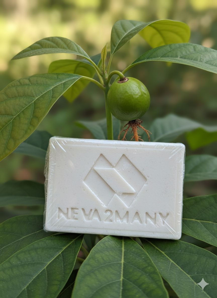 Avocado Soap Plain
