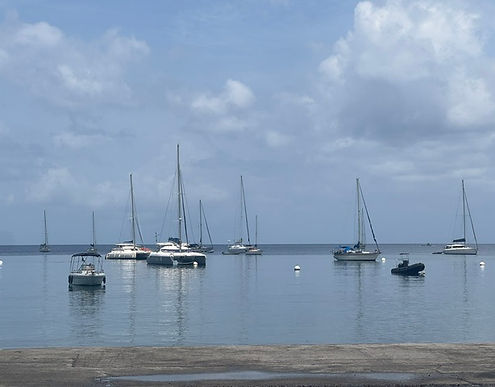 IMG_0455.jpeg
