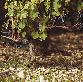 JB Audy 2024-230.jpg