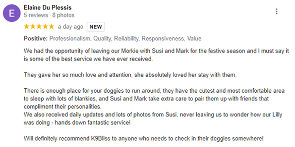 Morkie.png