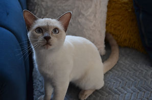 DSC_0508.JPG
