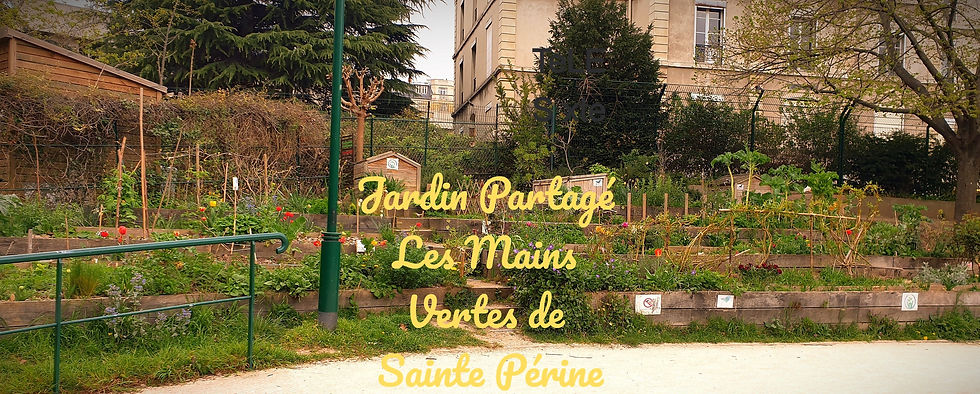 Jardin Partagé Les Mains Vertes de Sainte Périne