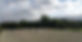 thumbnail_IMG_4611.jpg