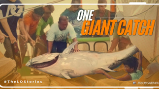 GIANT 235KG BLUEFIN TUNA CAUGHT IN QUEZON