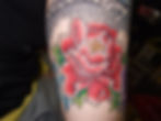 DSCF5049