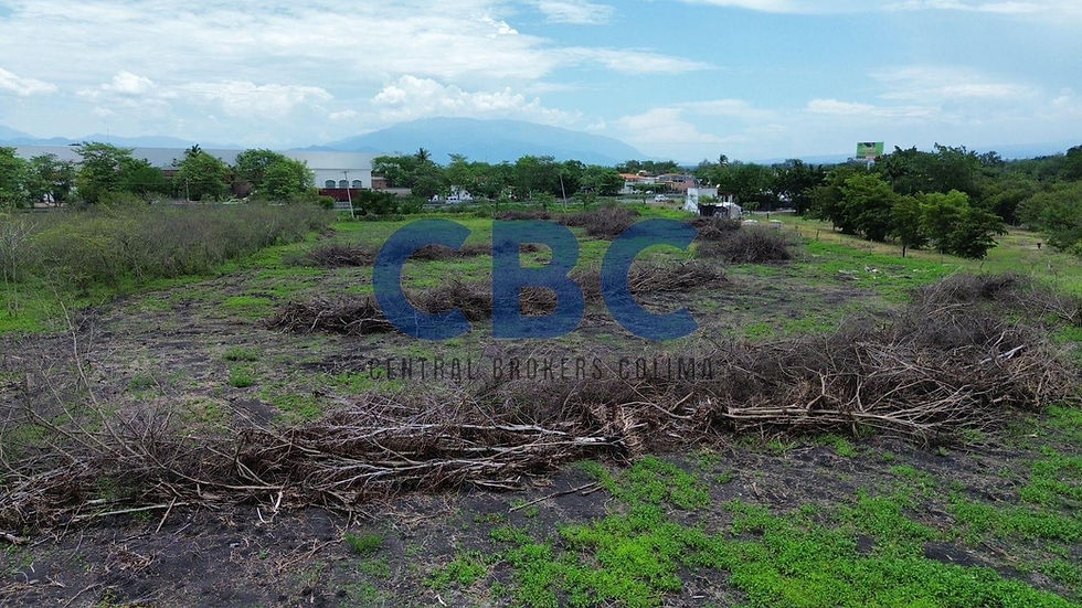 Miniatura: Terreno comercial sobre carretera 