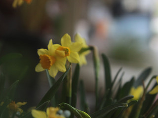 March!