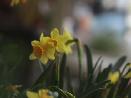 Planet Shaftesbury Meeting – 16th April 2026