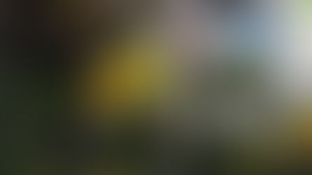 Coming out of Winter: Weight, Inflammation & PsA - Let’s talk about it