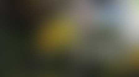 Coming out of Winter: Weight, Inflammation & PsA - Let’s talk about it