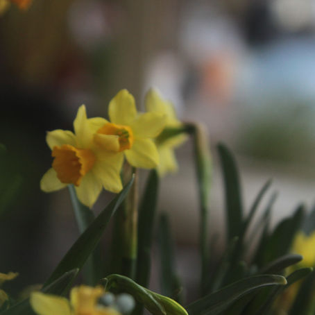 Finding Freedom Through Forgiveness