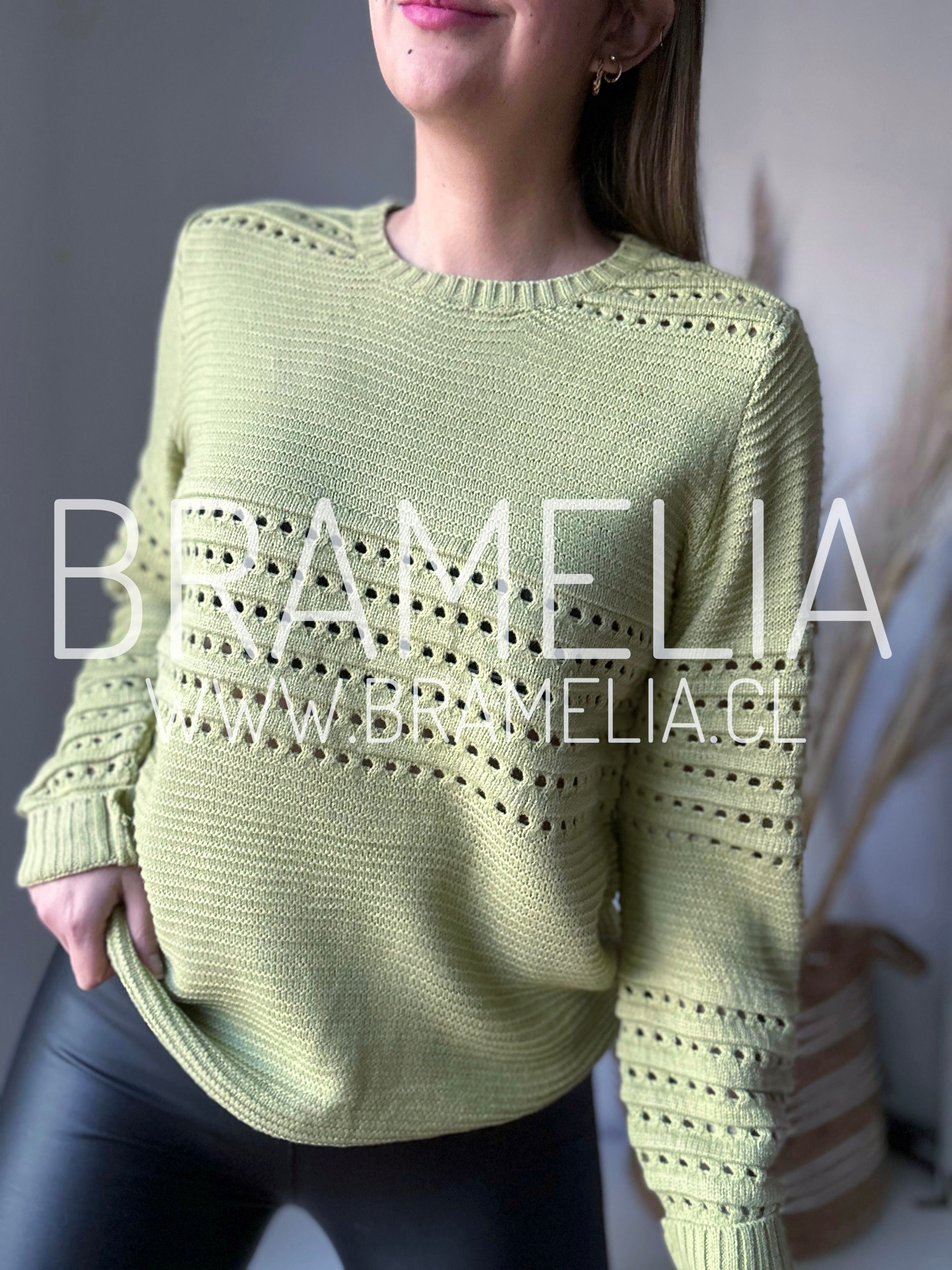 SUÉTER CATALUÑA VERDE