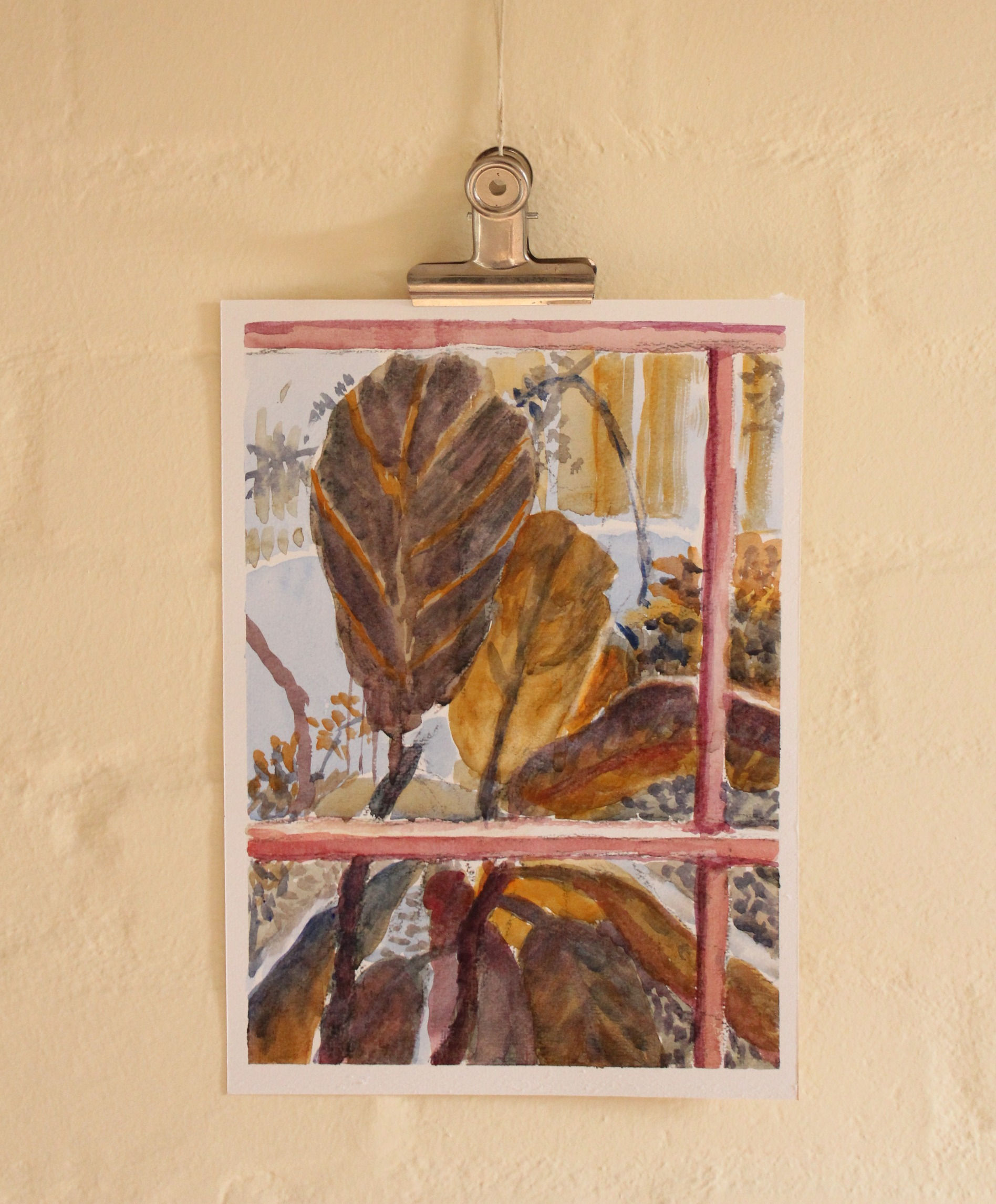 "Ficus leaves and pink burglar bars"