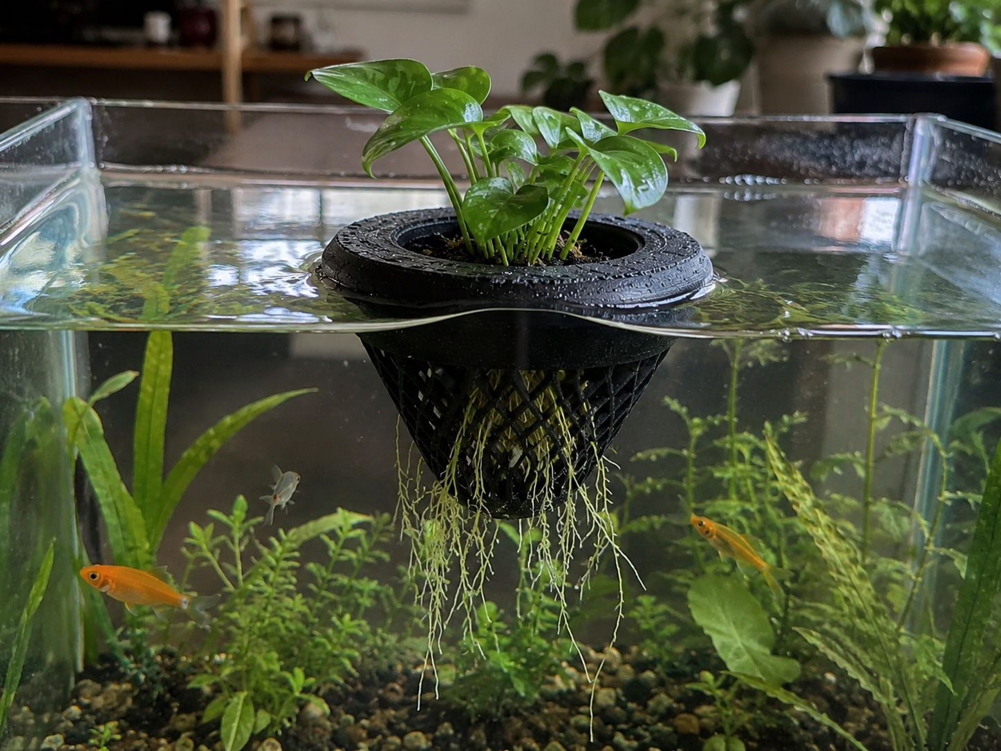 Floating Propagation Pot 5.5cm
